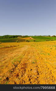 Plowed Fields of Italy in a Autumn on the Background of the Vineyards