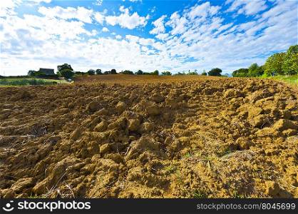 Plowed Fields of Tuscany in the Autumn