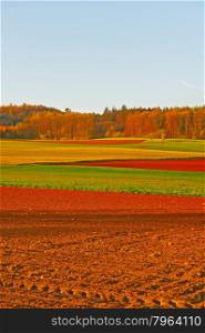 Plowed Fields on the Background of the Spring Forest in Switzerland