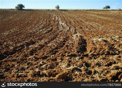 Plowed land and trees, Turkey
