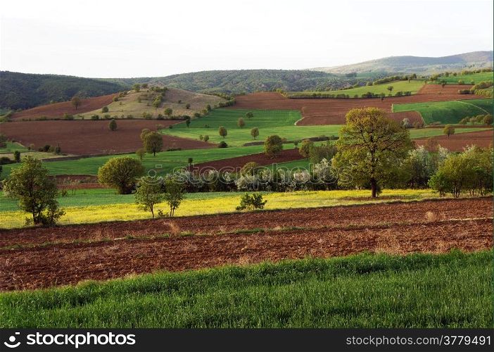 Plowed land in Anatolia, Turkey