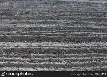 plowed land ready for planting potato in the village. plowed land ready for planting potato in the village in the spring