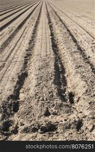 Plowed land. Sunny day
