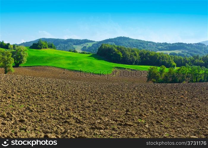 Plowed Sloping Hills of Lazio in the Autumn
