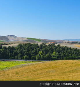 Plowed sloping hills of Tuscany in the autumn. Rural landscape with field after harvest. Asphalt road between plowed field in Italy.