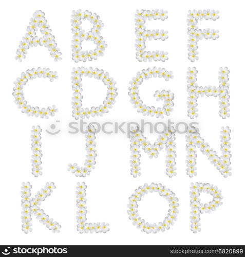 Plumeria alphabet isolated on white background