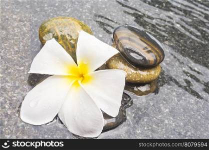 Plumeria and stone on water surface, spa concept