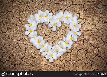 Plumeria flowers heart on Dry cracked earth background