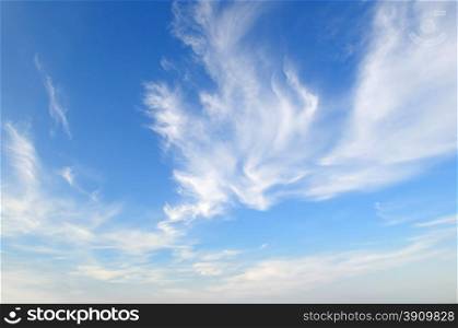 plumose clouds in the blue sky