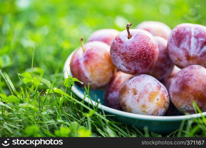 plums in a bowl on green grass 