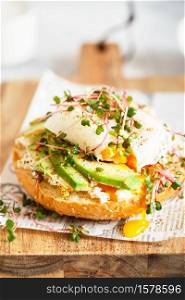 Poached egg with avocado, ricotta cheese and radish sprouts on burger bun. Healthy sandwich with bread, fresh avocado, poached egg and cheese garnished with radish microgreens. Healthy eating concept.