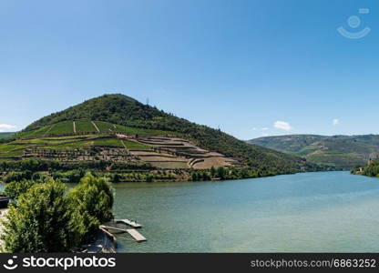 Point of view shot from historic train in Douro region, Portugal. Features a wide view of terraced vineyards in Douro Valley, Alto Douro Wine Region in northern Portugal, officially designated by UNESCO as World Heritage Site.