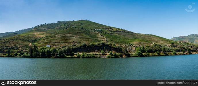 Point of view shot from historic train in Douro region, Portugal. Features a wide view of terraced vineyards in Douro Valley, Alto Douro Wine Region in northern Portugal, officially designated by UNESCO as World Heritage Site.