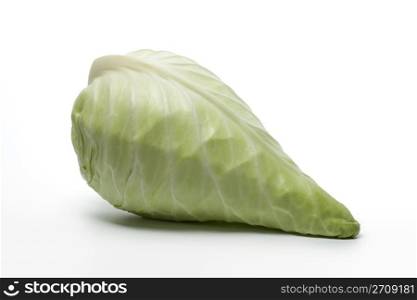 Pointed Cabbage, also known as the Hispi or Sweetheart cabbage