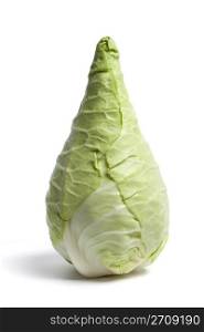 Pointed Cabbage, also known as the Hispi or Sweetheart cabbage