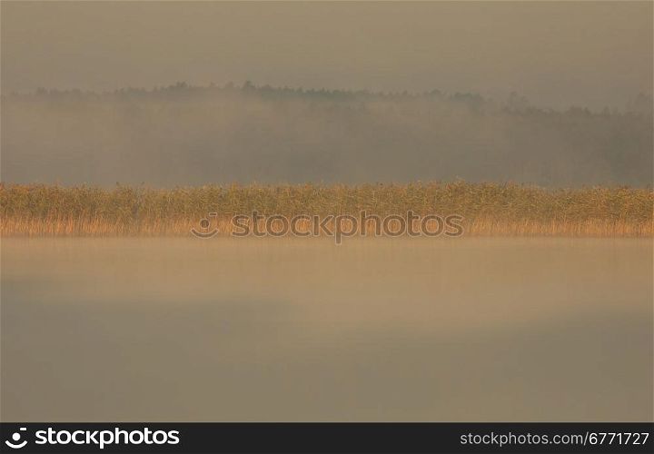 Poland.Bory Tucholskie National Park in August.Morning fog on the lake, overexposed light of the rising sun.Horizontal view.