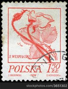 POLAND - CIRCA 1968: A stamp is printed in Poland, flower, let out CIRCA in 1968.