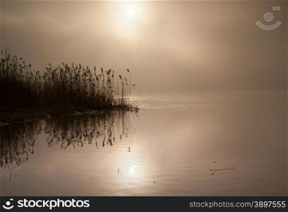 Poland.Foggy dawn on the Bug river in late summer.Very dense fog with the Sun&rsquo;s disc showing through and with reflecting reeds in the water.