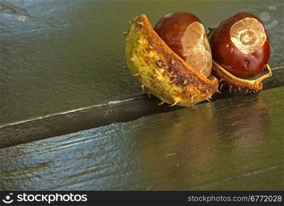 Poland.lazienki royal Park in autumn.The composition of two chestnuts with shell lying on the green park bench.Horizontal view.