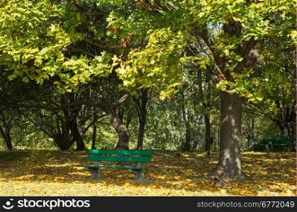 Poland.Warsaw in October.Autumn.An empty bench in the park.Horizontal view.