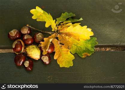 Poland.Warsaw.Lazienki Royal park in autumn.October.Close view on the several chestnuts and autumnal leaves lying on a bench in the park.Horizontal view.