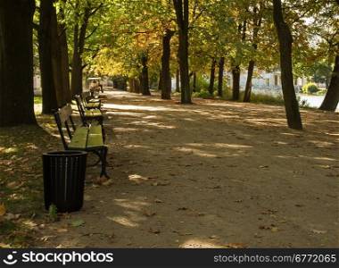 Poland.Warsaw.Lazienki Royal Park in autumn.October.Path in a park with a row of benches in autumn.Horizontal view.