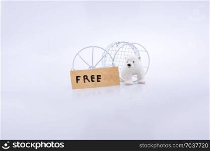 Polar bear cage open to freedom on white background