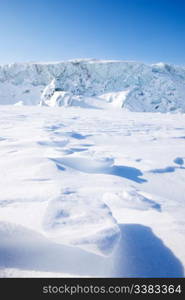 Polar bear foot prints in the snow - Svalbard, Norway