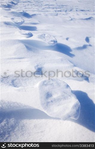Polar bear foot prints in the snow - Svalbard, Norway