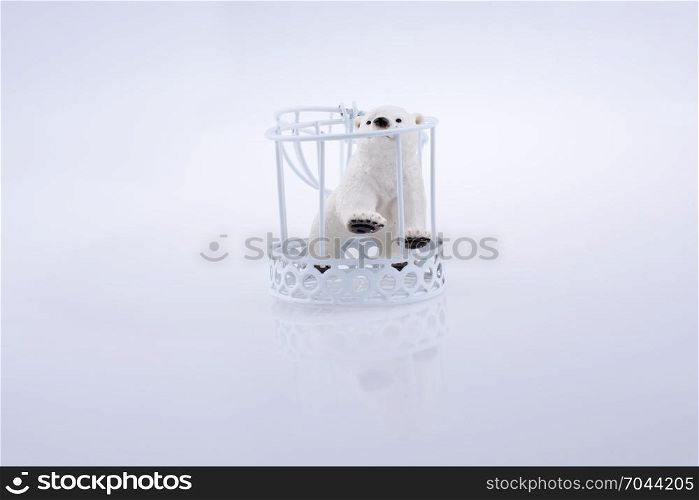 Polar bear trapped in a metal cage