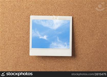 Polaroid picture
