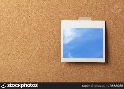 Polaroid picture