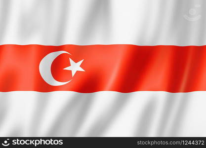 Poldachian Tatars ethnic flag, Europe. 3D illustration. Poldachian Tatars ethnic flag, Europe