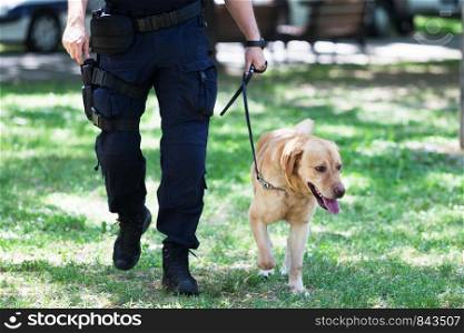 Police officer with labrador retriever dog on duty
