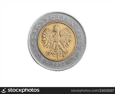 Polish coin