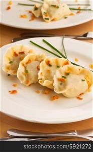 polish pierogi dish. polish pierogi dish - dumplings with meat on white plate