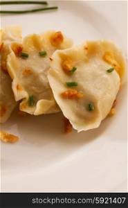 polish pierogi dish. polish pierogi dish - dumplings with meat on white plate close up