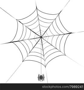 Polygonal Grey Spider and Her Cobweb on White Background. Polygonal Grey Spider and Her Cobweb