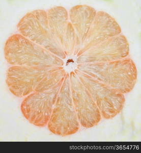 Pomelo or Chinese grapefruit