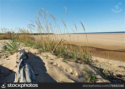 Pomeranian coast .White Sea .Russia, Arkhangelsk region.
