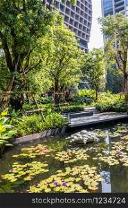 Pond and garden surrounded by high buildings, Bangkok, Thailand
