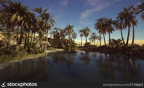 pond and palm trees in desert oasis