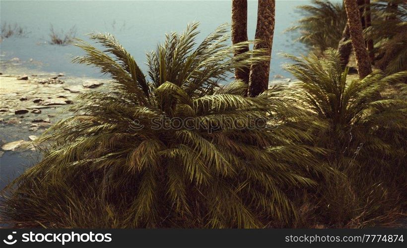 pond and palm trees in desert oasis