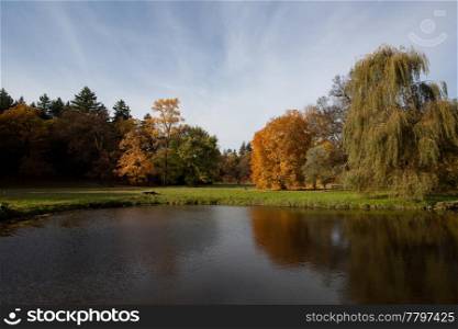 Pond and yellow trees in the autumn forest