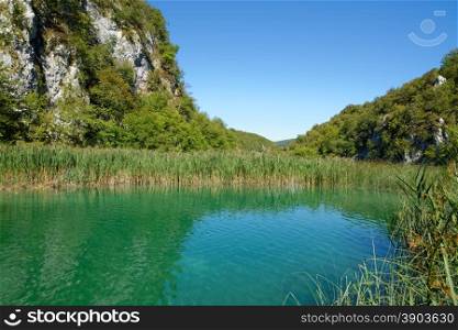 Pond bank landscape in bright summer day in Plitvice, Croatia