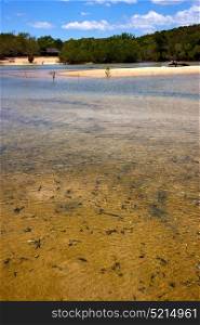 pond coastline river in the blue lagoon relax and bush madagascar nosy iranja