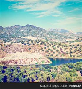 Pond for Irrigation among Olive Groves and Plowed Sloping Hills of Spain in the Autumn, Instagram Effect