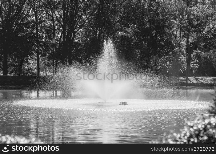 pond fountain on a sunny day