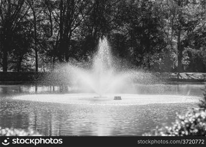 pond fountain on a sunny day