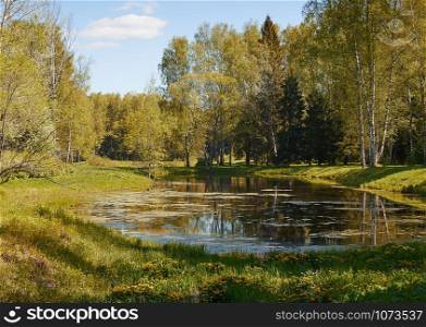 Pond in a beautiful oudoor park surrounded by a trees. Pond in the park surrounded by trees